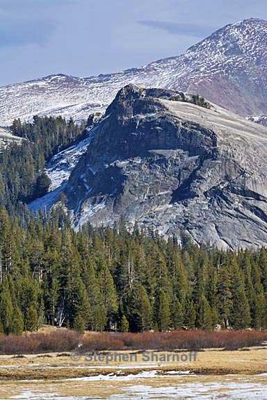 tuolumne meadows graphic